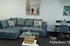 PALLADIUM 15