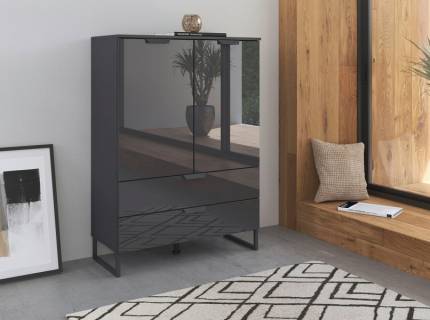 Comoda cu 2 usi si 2 sertare ADITIO 80x113x42cm gri metalic/ sticla basalt 