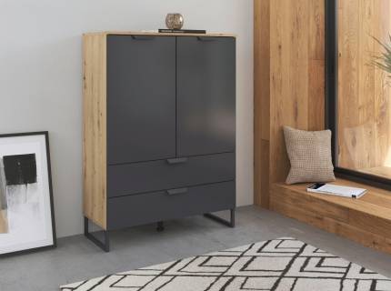 Comoda cu 2 usi si 2 sertare ADITIO 80x113x42cm stejar artisan/ gri metalic 