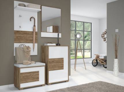 Set hol Varianta 2 STELA 